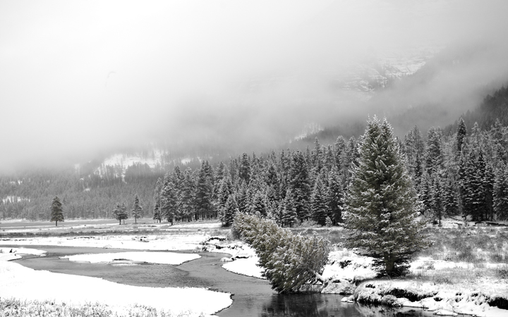 Lamar Valley Yellowstone National Park